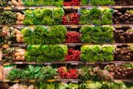 Canned veggies as one of the worst vegetables for weight loss (Image sourced by Pexels / Photo by matheus)